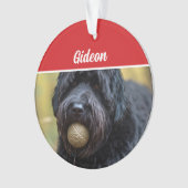 Bouvier des Flandres Dog Holiday Ornament (voorkant)