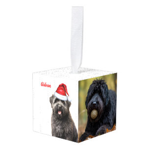 Bouvier des Flandres Dog Two Photo Holiday Kubus Ornament