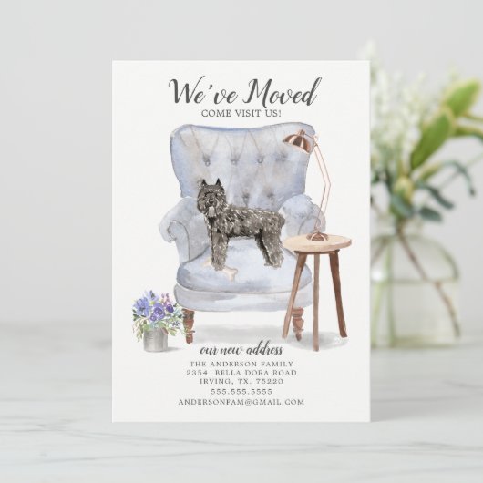 Bouvier des Flandres Moving Faire-part (Debout devant)