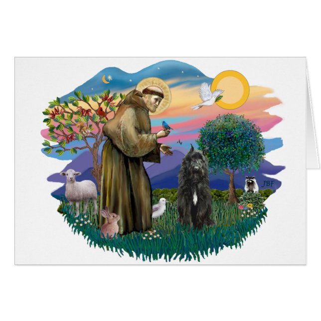 Bouvier des Flandres (noir) (Devant horizontal)