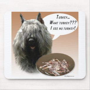 Bouvier des Flandres Turkije Muismat