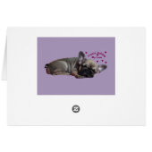 Bouvier français anniversaire Bulldog français (Dos Horizontal)