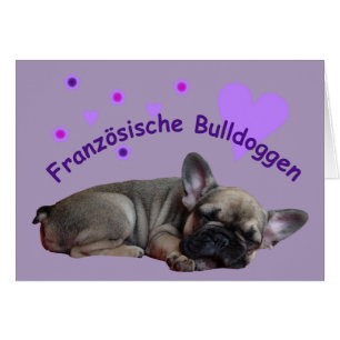 Bouvier français anniversaire Bulldog français