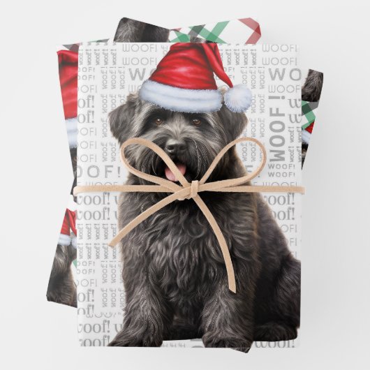 Bouvier Kersthond Rood en Groen Plaid Inpakpapier Vel (In situ)