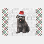 Bouvier Kersthond Rood en Groen Plaid Inpakpapier Vel (Voorkant)
