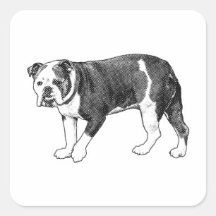 Bouvier mignon point jouet, Autocollant de dessin