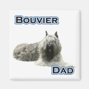 Bouvier Papa 4 - Magnet