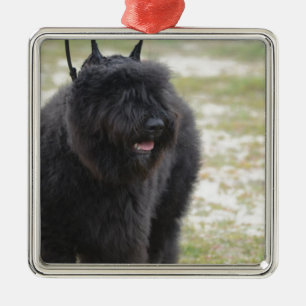 Bouviers des Flanders Metalen Ornament