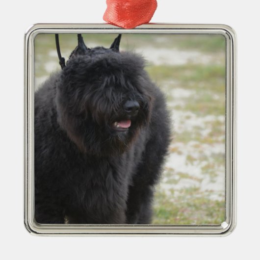 Bouviers des Flanders Metalen Ornament (Voorkant)