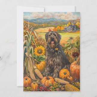 Bouviers des Flandre Herfst Oogst Thanksgiving Feestdagenkaart