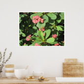 Bouzz ! Poster (Cuisine)