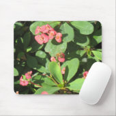 Bouzz ! Tapis de souris (Avec souris)