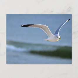 Boven de golven briefkaart