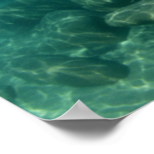 Boven en onder het meer van Tahoe Poster (Hoek)