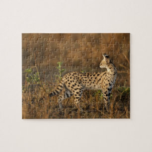 Boven Mara, Masai Mara Game Reserve, Kenia, Legpuzzel