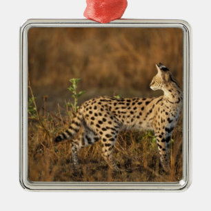 Boven Mara, Masai Mara Game Reserve, Kenia, Metalen Ornament