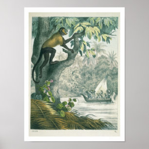 Bovenaan de Amazone, van 'Das Buch der We' Poster