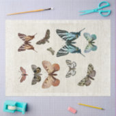  bovendellak  blauw perforatieblad tissuepapier (Craft)