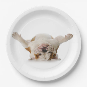 Bovenkant Borden Bulldog Paper Papieren Bordje