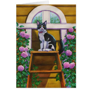 Bovenkant van de Ladder Tuxedo Cat