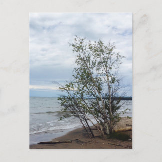 Bovenmeer briefkaart