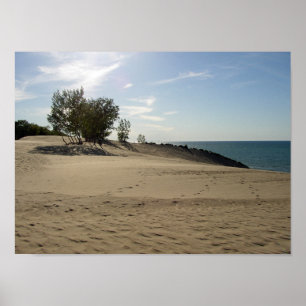 Bovenop Mt. Baldy, Nationaal Park Indiana Dunes Poster