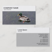 Bovenpaneel - Mallard Duck Visitekaartje (Voorkant / Achterkant)