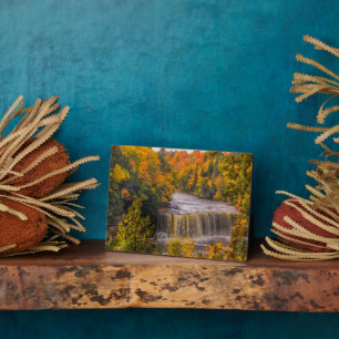 Bovenste Herfsten met volledige kleuren Fotoplaat