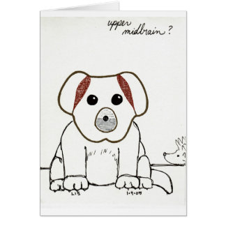 Bovenste Midbrain-kaart