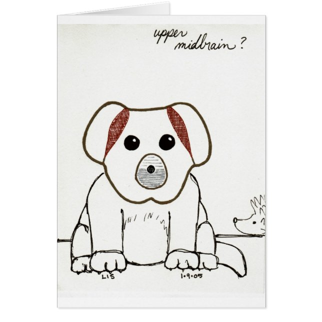 Bovenste Midbrain-kaart (Voorkant)