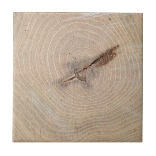 Bovenste uitzicht van de jaarringen van de afsluit tegeltje (Voorkant)