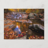 Bovenste Whiteoak-Herfsten, Nationaal Park Shenand Briefkaart (Voorkant)