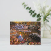 Bovenste Whiteoak-Herfsten, Nationaal Park Shenand Briefkaart (Staand voorkant)