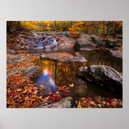 Bovenste Whiteoak-Herfsten, Nationaal Park Shenand Poster (Voorkant)