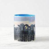 Boviene Byomstanders Mok (Midden)