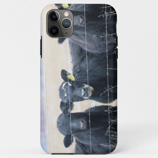 Boviene omstanders Case-Mate iPhone case (Achterkant)