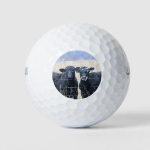 Boviene omstanders golfballen