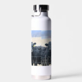 Boviene omstanders waterfles (Rechts)