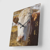 Bovine Beauty - Cattle Vierkante Klok (Hoek)