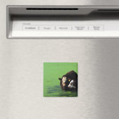 Bovine Spa Magneet (Insitu (Vaatwasser))