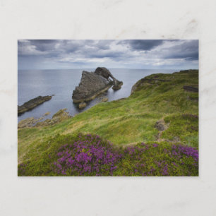 Bow Fiddle Rock, Portknockie, Schotland Briefkaart