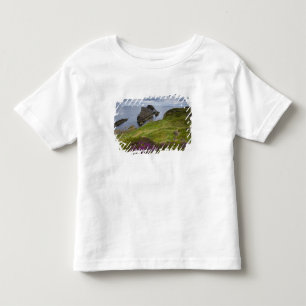 Bow Fiddle Rock, Portknockie, Schotland Kinder Shirts