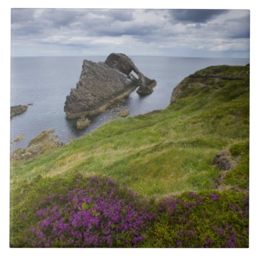 Bow Fiddle Rock, Portknockie, Schotland Tegeltje (Voorkant)