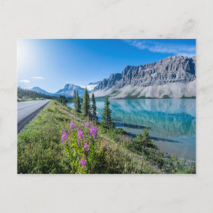 Bow Lake Banff National Park Canada Revel Briefkaart
