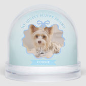 Bow Ruban brillant Pet Mémoire Photo Bleu (Avant)