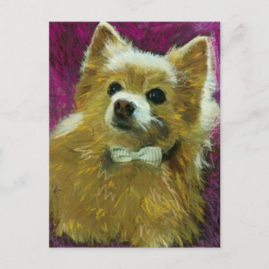 Bow Stropdas #2 Briefkaart (Voorkant)