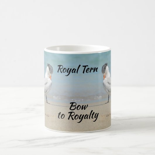 Bow to Royalty Royal Terns Seabirds Coastal Koffiemok (Center)