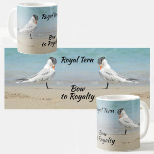 Bow to Royalty Royal Terns Seabirds Coastal Koffiemok