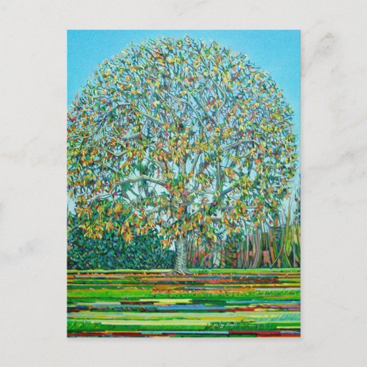 Bow Tree Autumn Briefkaart (Voorkant)