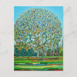 Bow Tree Autumn Briefkaart
